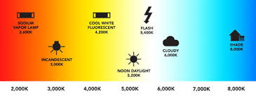 What Is White Balance And How Do You Set It Digital Trends