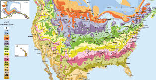 usda hardiness zone finder garden org