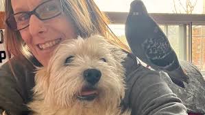 Fundraiser by Donna Cohen : Pooey and Booboo are asking for donations to  help mummy.