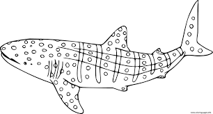 Whale shark coloring page from whale sharks category. Easy Whale Shark Coloring Pages Printable