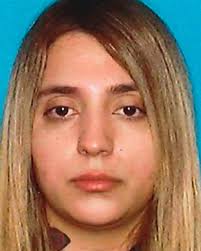 Todd Guild (@todd_guild)