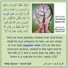سورة ق آية 16 و ل ق د خ ل ق ن ا ٱل إ نس ـ ن و ن ع ل م م ا ت و س و س ب ه ۦ ن ف س ه ۥ و ن ح ن أ ق ر ب إ ل ي ه Quran Islam Facts Miracles Of Islam