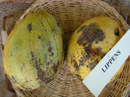 Immo lippens is reeds jaren actief in de verkoop en verhuur van panden en gronden aan de belgisch kust en costa blanca spanje. Lippens Mango Wikipedia
