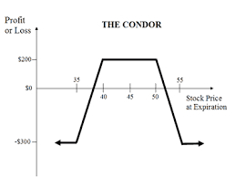 Condor Options Explained Online Option Trading Guide