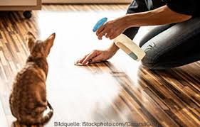 Normalerweise uriniert die katze nicht auf futterstellen. Wenn Die Katze In Die Wohnung Pinkelt Tierschutzliga Katzenratgeber