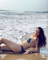 Image result for afreen alvi