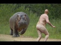 Image result for gun fail