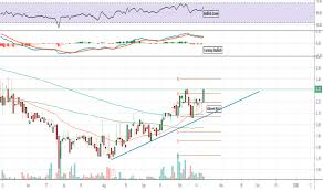 Fll Stock Price And Chart Nasdaq Fll Tradingview