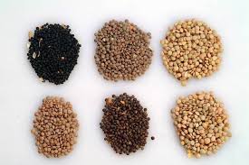 Tak hanya itu, protein nabati mengandung antioksidan, antikolesterol, dan isoflavon. Biji Bijian Ini Mengandung Banyak Protein Nabati Loh