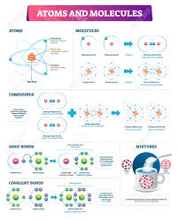 This is a collection of diagrams of atoms showing the numbers of protons, neutrons, and electrons present in the atom or isotope of an element. Atoms And Molecules Vector Illustration Labeled Compounds Bonds Diagram Ionic And Covalent Explanation Scheme With Educational Example Physics And Chemistry Substance Element Particles Infographic Royalty Free Cliparts Vectors And Stock