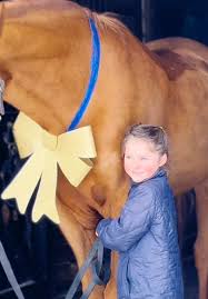 Katie May bringing the Christmas Magic today. Congratulations to Scout