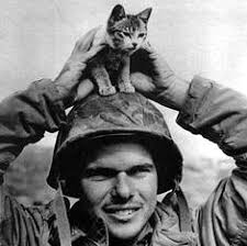 En las fauces del destino: la odisea del USS Indianapolis