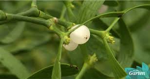 Löse unsere kreuzworträtsel von einfach bis schwer. Gt6o9rxcxjhdom