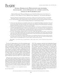 Image result for Gisekiaceae