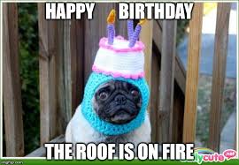 Happy Birthday Cake On Fire Meme Top 100 Original And Funny Happy Birthday Memes Happy Birthday Meme Happy Birthday Dog Happy Birthday Funny