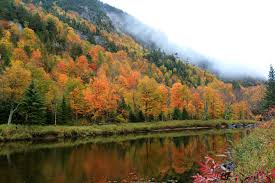 We did not find results for: 2020 Fall Foliage See When Leaves Change In New York