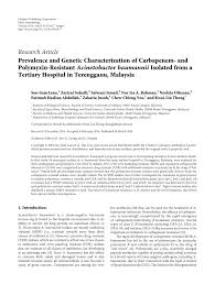 Born 7 december 1973) is the current sultanah of terengganu. Dendrogram Of The 54 A Baumannii Isolates From Hospital Sultanah Nur Download Scientific Diagram