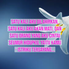 Untuk ngucapain kata kata cinta so sweeet buat pacar ya nggak harus nunggu hari valentine juga kali, karena tiap hari pun bisa jadi kata hari sayang. 235 Kata Kata Romantis Buat Istri Tercinta Dan Solehah Diedit Com