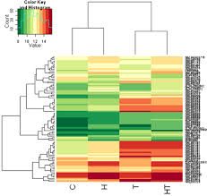 Image result for bioinformatics heatmap