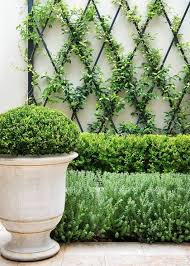 Maybe you would like to learn more about one of these? Backyards Wall Climbing Plants Ideas 30 Decomg