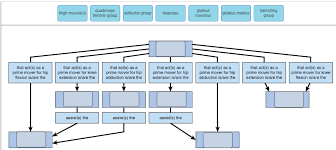 Solved Concept Map Major Muscles Of The Thigh Complete T Chegg Com