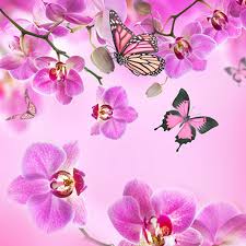 Because our papers are truly vintage (printed somewhere between 35 to 85 years ago), they are rare and in limited quantity. Pink Flowers Live Wallpaper Apps On Google Play