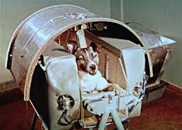 12 Amazing Dogs To Remember On National Dog Day Space Dog Space Animals Soviet Space Dogs