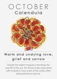 Pin On Astrology Flowers