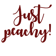 Then we have a huge collection of awesome and true 2 lines heart touching in hindi or english. 250 Funny Instagram Bios Cool Ig Bio Quotes For An Irresistible Profile