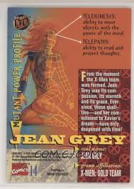 Image result for Grey 1994 Fleet