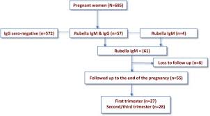 However, information on illnesses associated with other highly pathogenic coronaviruses (ie, severe acute respiratory syndrome and the middle east respiratory syndrome) might provide insights into coronavirus. Adverse Pregnancy Outcomes Among Pregnant Women With Acute Rubella Infections In Mwanza City Tanzania International Journal Of Infectious Diseases