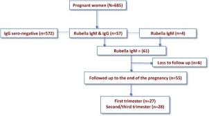 But the following are the major symptoms you need to look out for when stepping into the third trimester of. Adverse Pregnancy Outcomes Among Pregnant Women With Acute Rubella Infections In Mwanza City Tanzania International Journal Of Infectious Diseases