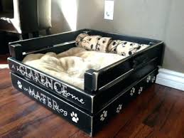 Communicate with the registration department directly. 430 Pet Necessities Ideas In 2021 Dog Kennel Dog Kennel Designs Dog Rooms