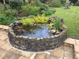 See more ideas about ponds backyard, backyard, diy pond. 60 Backyard Pond Ideas Photos Home Stratosphere