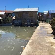 Ubay, province of bohol, philippines. Elevated Pathways Along The Houses Ubay Island Off The Coast Of Download Scientific Diagram