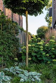 Sehr schönes apartment, ruhig, abseits gelegen mit pool und großem garten plus parkplatz da ich mit trailer und motorrad reiste. Genuss Fur Mensch Und Tier Gartenplus Die Gartenarchitekten Gartenarchitekt Garten Garten Neu Gestalten
