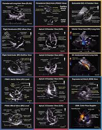Su šia įmone galite susisiekti el. All Pets Medical And Surgical Center Apmsc Twitter