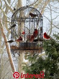 Best Bird Feeders For Small Birds Only Best 25 Bird Feeders Ideas Unique Types Of Birds Are Attracted To Various Types Of Foods In Addition Humming Bird Feeders Bird Feeding Station Bird Feeders