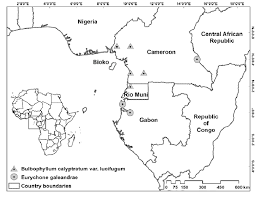 Image result for Sericanthe leonardii