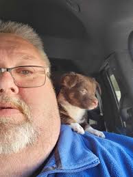 If you get a chance to get outside, the South shore of Big Bear is just  absolutely stunning right now. I would definitely recommend a four-wheel  drive to get to the good