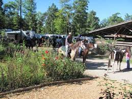 Timber Ridge Horse Campground In Jamestown Tennessee 5 Star Rating Ride In Big South Fork National R Horse Vacation Camping In Tennessee Yellowstone Camping
