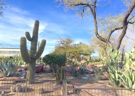At ethel m chocolate factory and botanical cactus garden, see how chocolate is made, create your own box of goodies and stroll through desert life. Red House Garden The Ethel M Chocolate Factory S Botanical Cactus Garden
