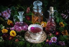 Enchanting Primrose Cordial Gather Victoria 1 Cordial Recipe Flower Pots Primrose
