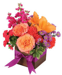 Maybe you would like to learn more about one of these? Valentine Florist Valentine Ne Flower Shop Janine S Flower Exchange
