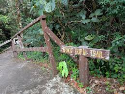 However, due to the cmco (conditional expect climbing times to be: Penang Food For Thought Kinabalu Park