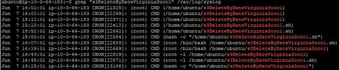 Properly Formating A Crontab Executable On A Bash Script Stack Overflow I can run it manually by pressing the 'run' button, the jobs is executed, but not automatically.