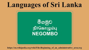 Buddhism, hinduism, islam, and christianity. Languages Of Sri Lanka Youtube