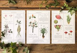 Check spelling or type a new query. Herbology Chart A5 Print Set Parts 1 2 3 Etsy Print Sets Herbology Magical Herbs
