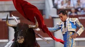 Image result for ivan fandiño