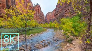 We did not find results for: 8k Nature Wallpapers Slideshow Zion National Park Photography Beautiful Landscapes Youtube